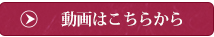 動画はこちらから