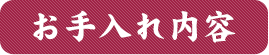 お手入れ内容