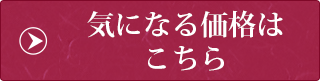 気になる価格は こちら 